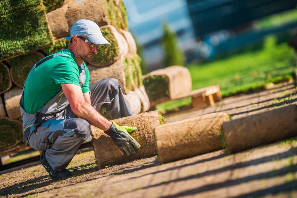Menoni & Mocogni Landscaping Materials